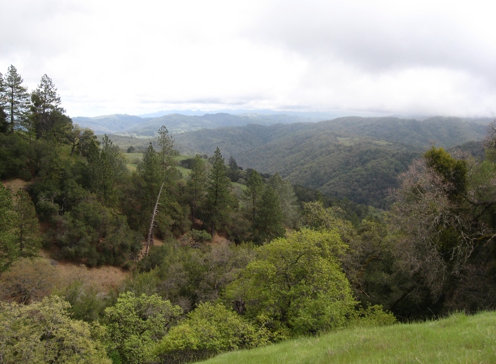 Henry W. Coe State Park
